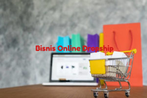 bisnis online dropship